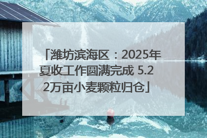 潍坊滨海区：2025年夏收工作圆满完成 5.22万亩小麦颗粒归仓
