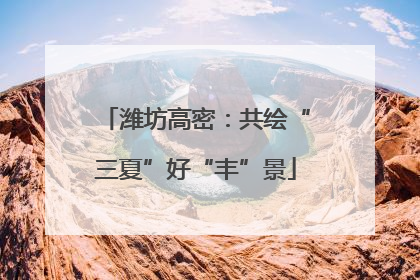潍坊高密：共绘“三夏”好“丰”景