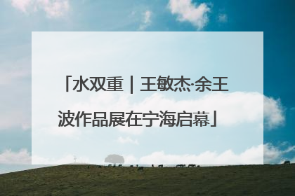 水双重｜王敏杰·余王波作品展在宁海启幕