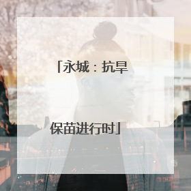 永城：抗旱保苗进行时