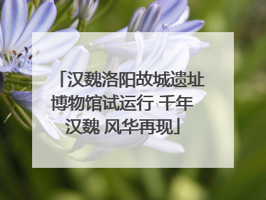 汉魏洛阳故城遗址博物馆试运行 千年汉魏 风华再现