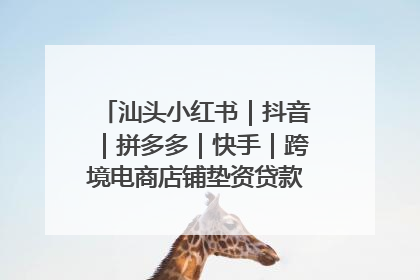 汕头小红书｜抖音｜拼多多｜快手｜跨境电商店铺垫资贷款企业-漫商易