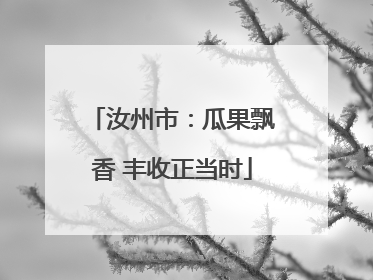 汝州市：瓜果飘香 丰收正当时