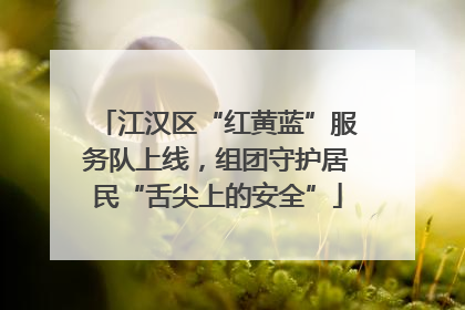 江汉区“红黄蓝”服务队上线，组团守护居民“舌尖上的安全”