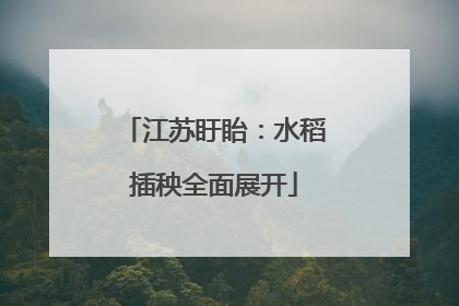 江苏盱眙：水稻插秧全面展开