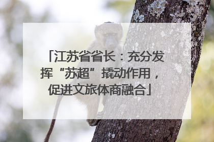 江苏省省长：充分发挥“苏超”撬动作用，促进文旅体商融合