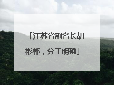 江苏省副省长胡彬郴，分工明确