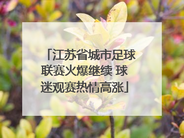 江苏省城市足球联赛火爆继续 球迷观赛热情高涨