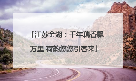 江苏金湖：千年藕香飘万里 荷韵悠悠引客来