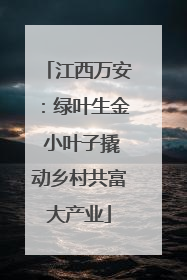 江西万安：绿叶生金 小叶子撬动乡村共富大产业