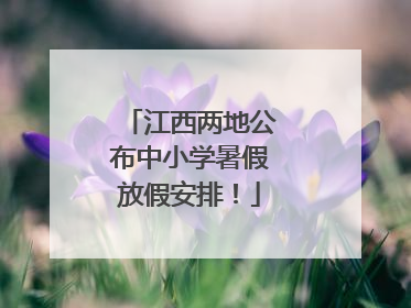 江西两地公布中小学暑假放假安排！