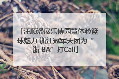 汪顺潘展乐傅园慧体验篮球魅力 浙江冠军天团为“浙 BA”打Call