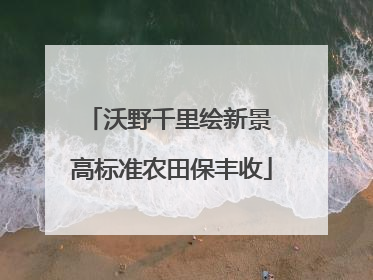 沃野千里绘新景 高标准农田保丰收
