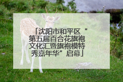 沈阳市和平区“第五届百合花旗袍文化汇暨旗袍模特秀嘉年华”启幕