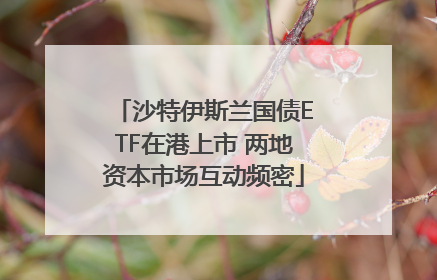 沙特伊斯兰国债ETF在港上市 两地资本市场互动频密