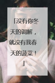 没有你冬天的调解，就没有我春天的菠菜！