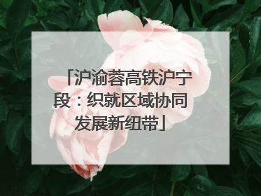 沪渝蓉高铁沪宁段：织就区域协同发展新纽带