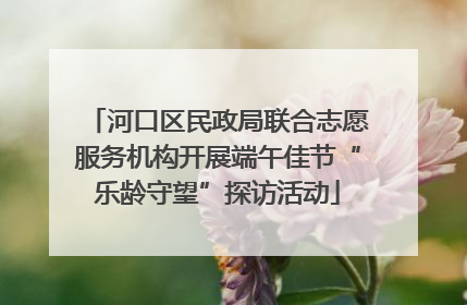 河口区民政局联合志愿服务机构开展端午佳节“乐龄守望”探访活动