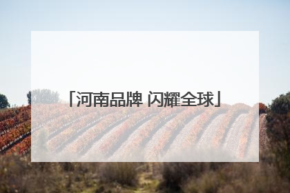 河南品牌 闪耀全球