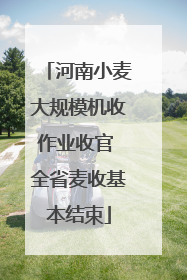 河南小麦大规模机收作业收官 全省麦收基本结束