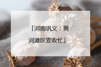 河南巩义：黄河滩区麦收忙