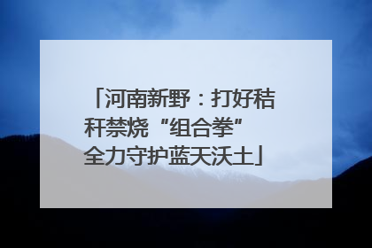 河南新野：打好秸秆禁烧“组合拳” 全力守护蓝天沃土