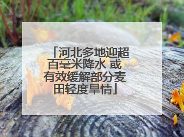 河北多地迎超百毫米降水 或有效缓解部分麦田轻度旱情