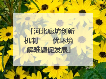 河北廊坊创新机制——优环境解难题促发展
