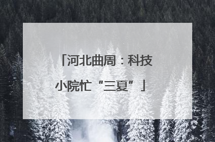 河北曲周：科技小院忙“三夏”