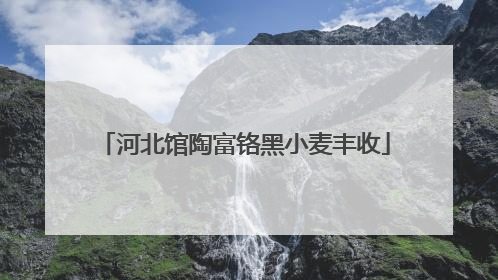 河北馆陶富铬黑小麦丰收