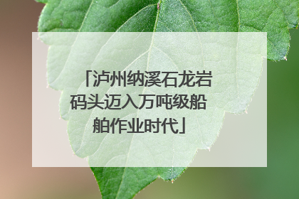 泸州纳溪石龙岩码头迈入万吨级船舶作业时代