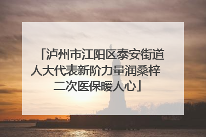泸州市江阳区泰安街道人大代表新阶力量润桑梓 二次医保暖人心