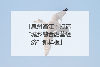 泉州洛江：打造“城乡融合露营经济”新样板