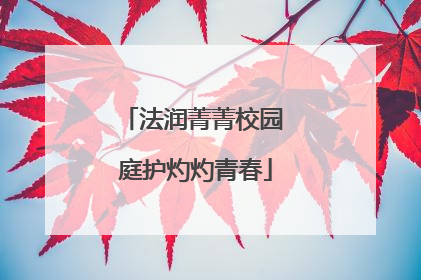 法润菁菁校园 庭护灼灼青春
