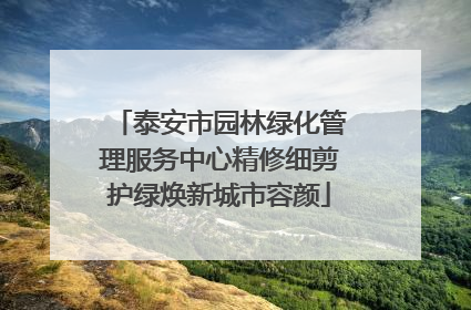 泰安市园林绿化管理服务中心精修细剪护绿焕新城市容颜