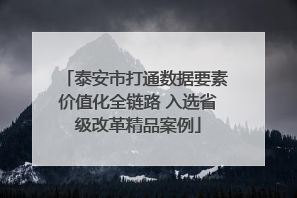 泰安市打通数据要素价值化全链路 入选省级改革精品案例