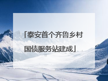 泰安首个齐鲁乡村国债服务站建成