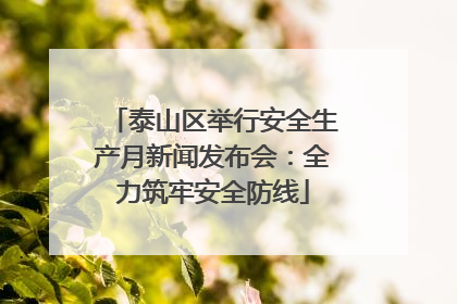 泰山区举行安全生产月新闻发布会：全力筑牢安全防线
