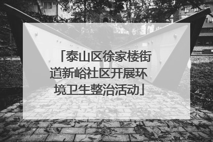 泰山区徐家楼街道新峪社区开展环境卫生整治活动