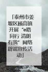 泰州市姜堰区顾高镇开展“e路同行 清朗有我”网络辟谣宣传活动