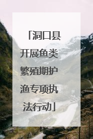 洞口县开展鱼类繁殖期护渔专项执法行动
