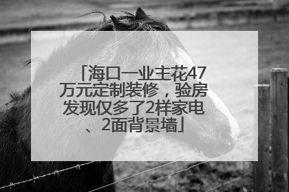 海口一业主花47万元定制装修，验房发现仅多了2样家电、2面背景墙