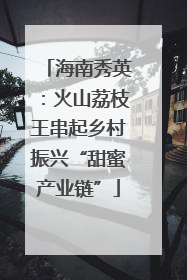 海南秀英：火山荔枝王串起乡村振兴“甜蜜产业链”