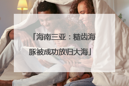 海南三亚：糙齿海豚被成功放归大海