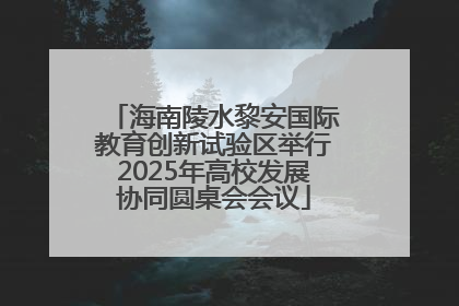 海南陵水黎安国际教育创新试验区举行2025年高校发展协同圆桌会会议