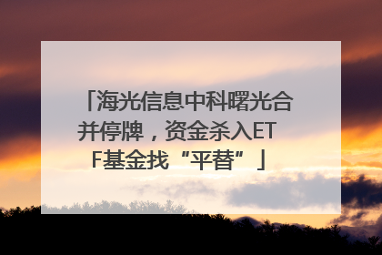 海光信息中科曙光合并停牌，资金杀入ETF基金找“平替”