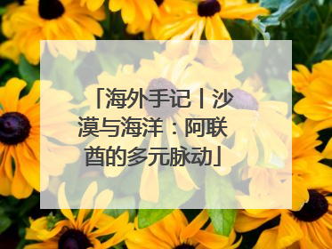 海外手记丨沙漠与海洋：阿联酋的多元脉动