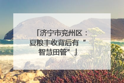 济宁市兖州区：夏粮丰收背后有“智慧田管”