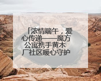 浓情端午，爱心传递——魔方公寓携手黄木 厂社区暖心守护城市蜂鸟