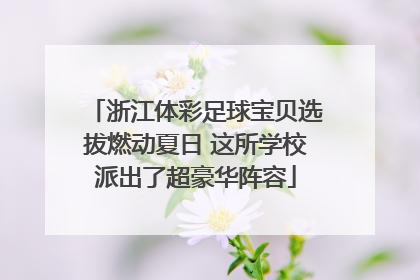 浙江体彩足球宝贝选拔燃动夏日 这所学校派出了超豪华阵容